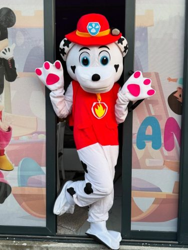 Ko-kaze-da-ne-mogu-biti-heroj-dana- -Spreman-za-akciju-zagrljaje-i-mnogo-smijeha--Paw